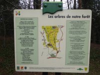 Sortie Phalsbourg CV Wingen 28 02 2016 (4)